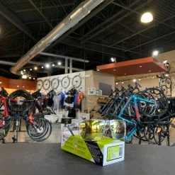 Tifosi Swick Sunglasses Crystal Clear