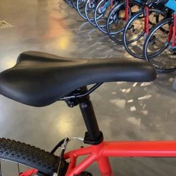 Batch Bicycles The Lifestyle Bike 2020 | Rigid -Playtri - Middleton Sales 2022 73SghwWAi0LVyhAwR uR5Yn2Q