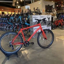 Batch Bicycles The Lifestyle Bike 2020 | Rigid -Playtri - Middleton Sales 2022 Jq6 hmLJ9mE7kfRnyfOTWWJOo