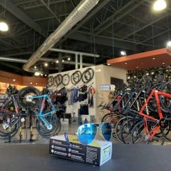 Tifosi Shwae Gold Sunglasses