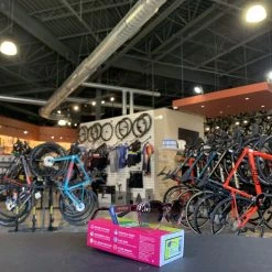 Tifosi Svago Crystal Peach Blush Sunglasses