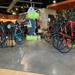 Amphipod Runlite Xtech 2 Plus Run Belt | Other