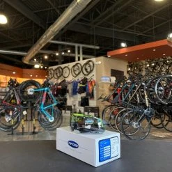 Tifosi Alliant Race Neon Interchangeable Lens Sunglasses