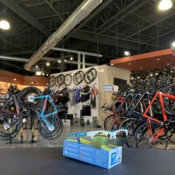 Tifosi Swank SL Fost/Powder Blue Sunglasses