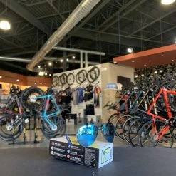 Tifosi Shwae Graphite Sunglasses