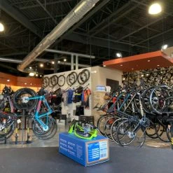 Tifosi Amok Race Neon Fototec Lens Sunglasses