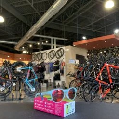 Tifosi Svago Satin Crystal Teal Sunglasses