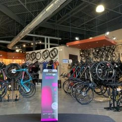 Superfeet Berry Insole Size B | Insoles