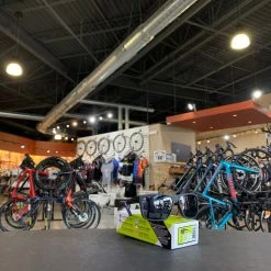 Tifosi Swick Sunglasses Blackout